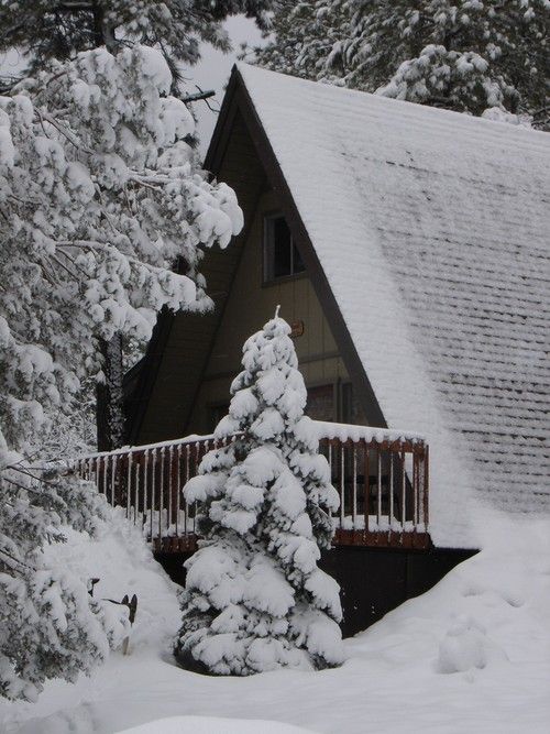 A snow-covered alpine cabin amongst snow-covered pine trees.