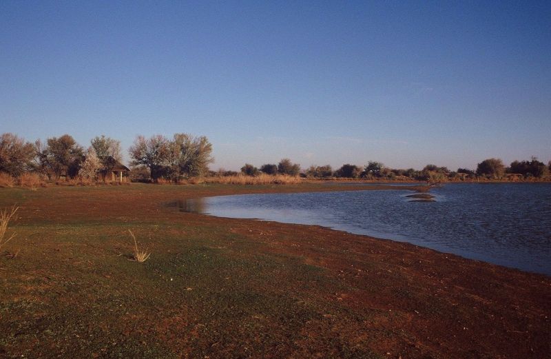 Bush camp next to a pond.